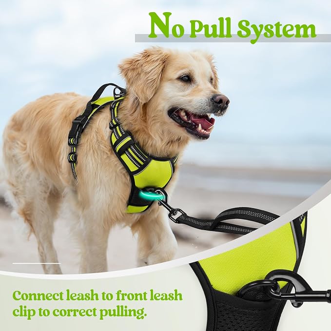 rabbitgoo Dog Harness, No Pull Medium Sized with 2 Leash Clips, Pet Vest | No Choke with Handle, Adjustable Soft Padded, Reflective, Easy Control for Walking, Wild Lime, Medium
