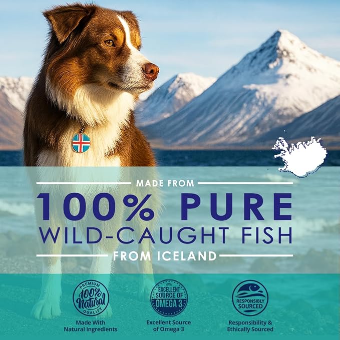 Pure Omega 3 Fish Oil for Dogs, Wild Caught from Iceland, Skin and Coat Supplement for Shedding, Dry Itchy Skin and Allergies, Rich in EPA + DHA with Omega 3, 6 & 9 Fatty Acids, 1000mg, 180 Capsules
