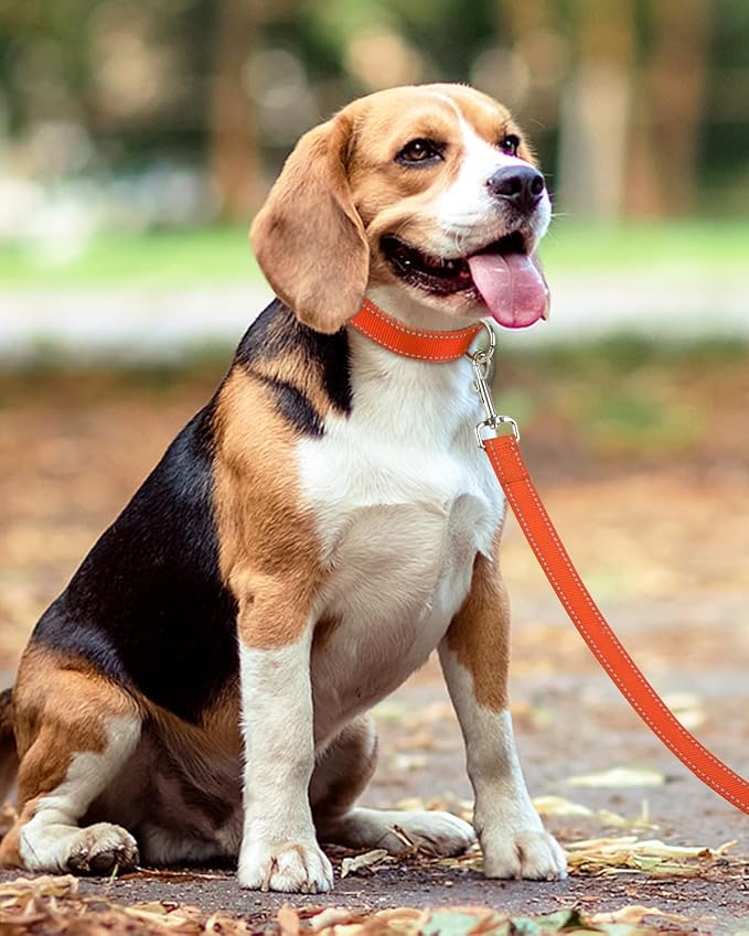 Taglory Reflective Dog Leash for Medium Large Dogs, 1in x 6ft, Orange | Ideal for Night Walking, Strong for Sudden Pulls, Lightweight & Gentle on the Neck, Soft Padded Handle