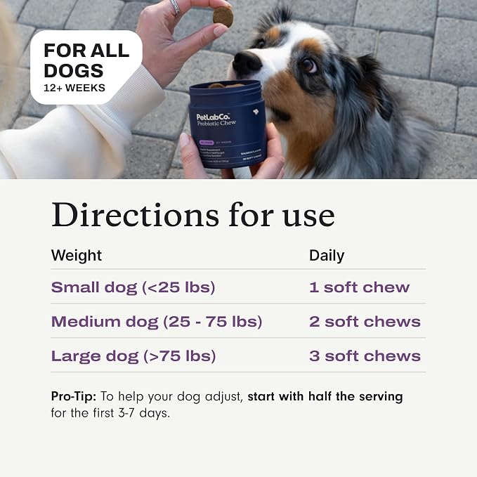 PetLab Co. Probiotic Chews for Dogs - Salmon, 30ct, 2-Pack