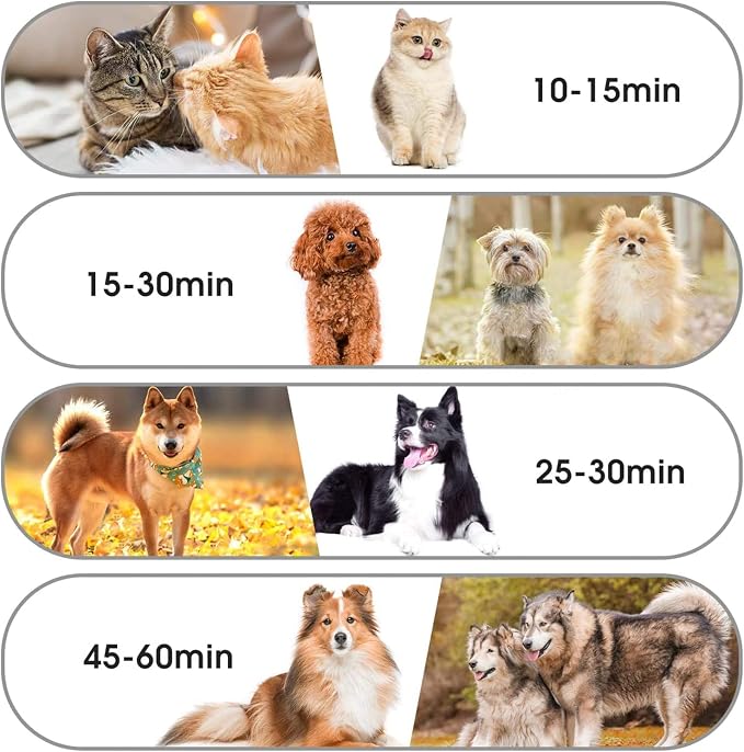Pet Dryer for Dog, High Velocity Dog Hair Dryer, Less Noise Dog Blow Dryer, Professional Pet Grooming Dryer,Stepless Adjustable Speed, Heat Insulation, 4 Different Nozzles