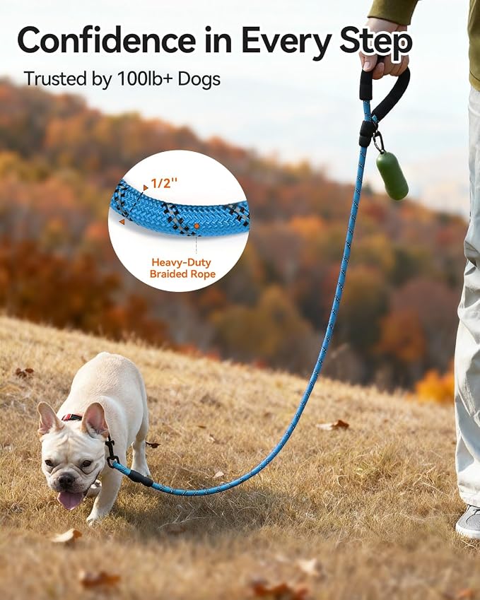 Joytale Rope Dog Leash for Small Dogs, Padded Handle, 5FT, Aqua Blue | Reinforced Nylon Webbing, Comfort Grip Eases Hand Strain, Swivel Clip Prevents Tangles, Visible at Night, for Outdoor Walks