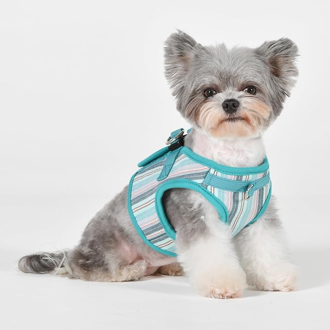 Puppia Theros Dog Vest Harness B (Step-in) Fashionable Striped Pattern Spring Summer Harness for Small and Medium Dogs, Aqua, Medium