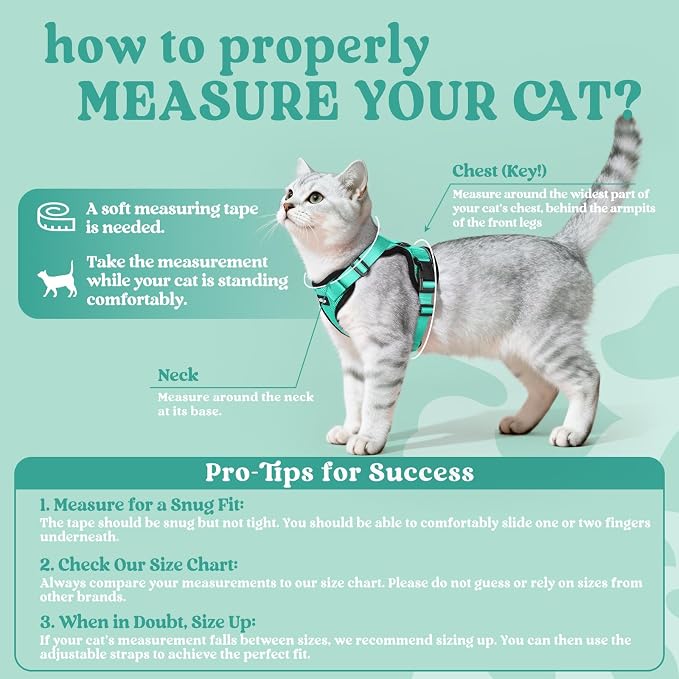 rabbitgoo Cat Harness and Leash Set, Escape Proof Vest, Emerald | Soft Breathable Mesh, Easy Adjustable Fit, Snap Buckles, Sturdy Clip, Reflective Strips, for Kittens & Small Cats Walks, Xxs