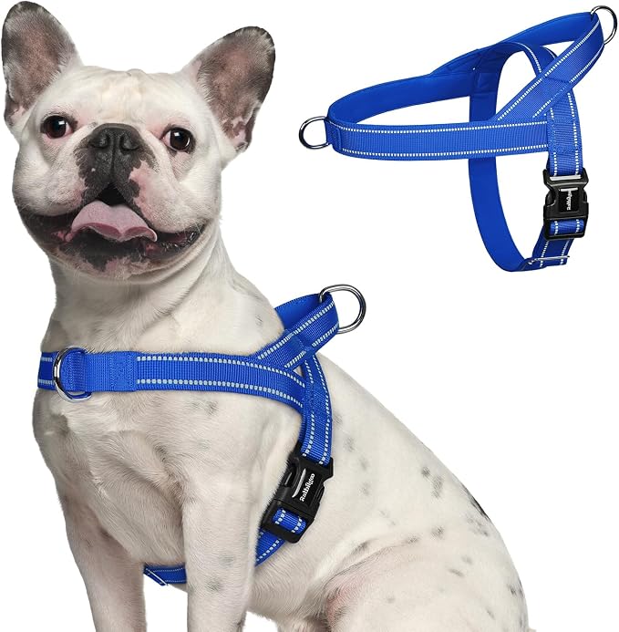 rabbitgoo Dog Harness No Pull, Quick Fit for Medium Sized Dog, Reflective | Chest Adjustable Pet Vest with Soft Padded Handle, No Choke Escape Proof for Walking Training, Blue M