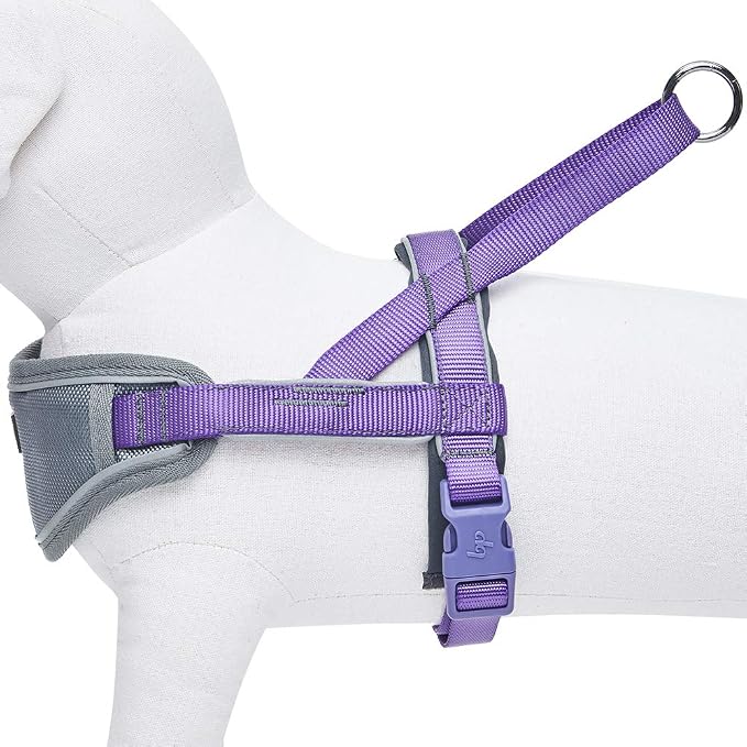 Blueberry Pet Purple Dog Harness, Medium Sized, Small Dog Harness, Puppy Harness, Reflective Nylon Vest, Adjustable for Small Dogs, Large Dog Owners, Pet Trainers, Active Pet Parents