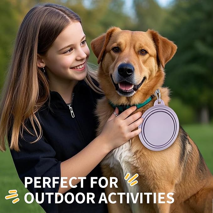 Collapsible Dog Bowls, 2 Pack, Macaron Yellow & Violet