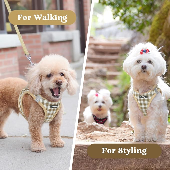 rabbitgoo Step-in Small Dog Harness, Puppy Vest for Small Sized Pet | Easy Put on and off, Lightweight, Soft, Breathable Quick-Dry Air Mesh for Comfortable Secure Walking, Beige Check S