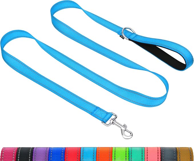 Taglory Reflective Dog Leash for Small Dogs, 3/4in x 5ft, Sky Blue | Ideal for Night Walking, Strong for Sudden Pulls, Lightweight & Gentle on the Neck, Soft Padded Handle