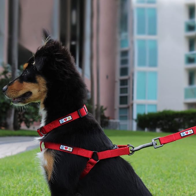 Pawtitas Value Bundle Set | Medium Dog Harness + Medium Dog Collar – Orchid Set