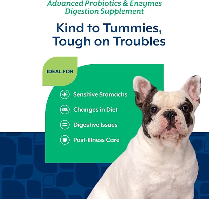 NaturVet Advanced Probiotics & Enzymes Chews for Dogs - 240ct