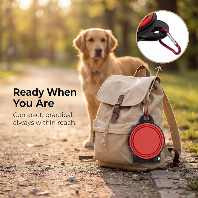 Bee Neat Adjustable Pet Bowl, Red