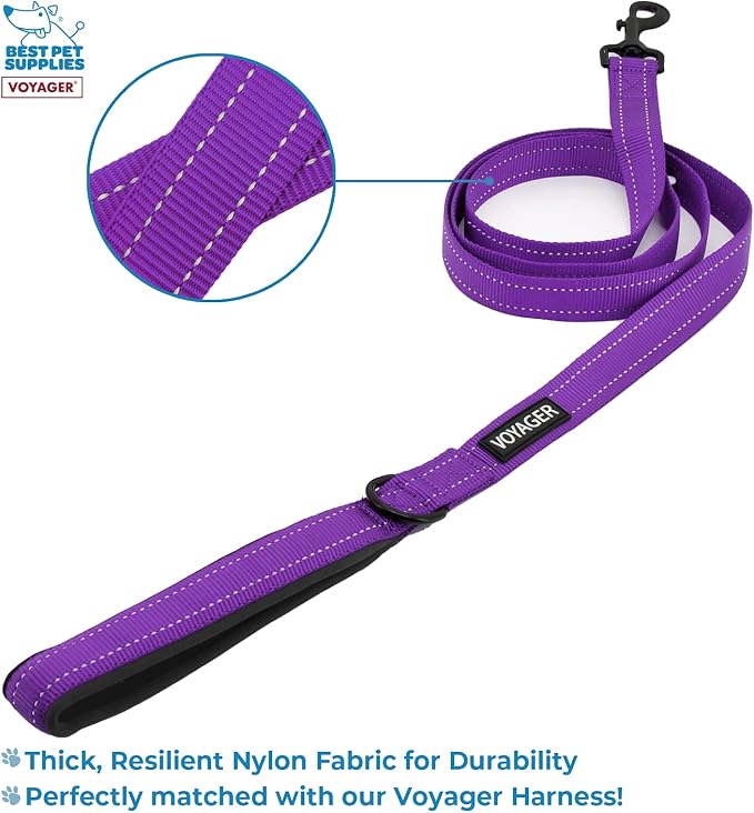 Voyager Step-in Air All Weather Mesh Harness and Reflective Dog 5 ft Leash Combo with Neoprene Handle, for Small, Medium and Large Breed Puppies by Best Pet Supplies - Purple, X-Large