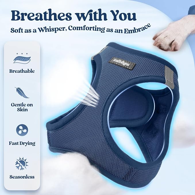 rabbitgoo Dog Harness Medium Sized and Leash Set, Step-in Puppy Pet Vest | Light, Soft, Breathable Air Mesh, Easy on and Remove with Hook & Loop, Secure Reflective for Walking, Navy Blue XXL