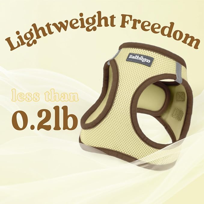 rabbitgoo Dog Harness Small Sized and Leash Set, Step in Soft Vest | Breathable Mesh, Easy Wear with Hook & Loop, Light and Reflective for Walking, Multi-colored, Beige & Coffee, S