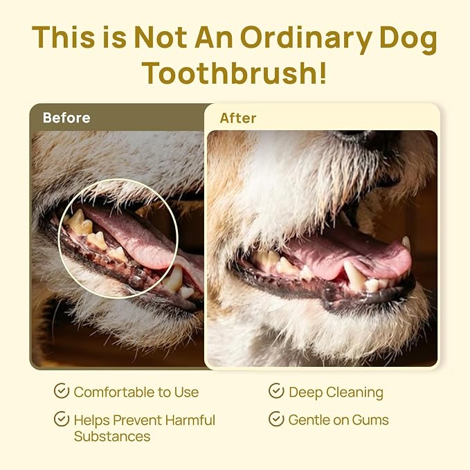 HICC PET Toothbrush for Dogs & Large Cats, Vet-Recommended Ergonomic Pet Toothbrush for Easy Teeth Cleaning, Gentle on Gums, Cat & Dog Dental Care, Improves Oral Hygiene. Toothpaste Not Included