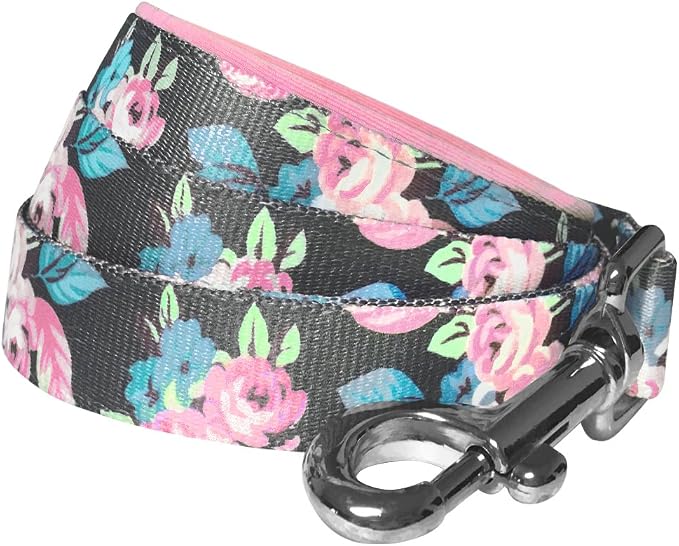 Blueberry Pet 7 Pattern Rose Flower Prints Girly Dog Leash with Soft & Comfortable Handle, 5 ft x 3/4", Medium, Leashes for Dogs
