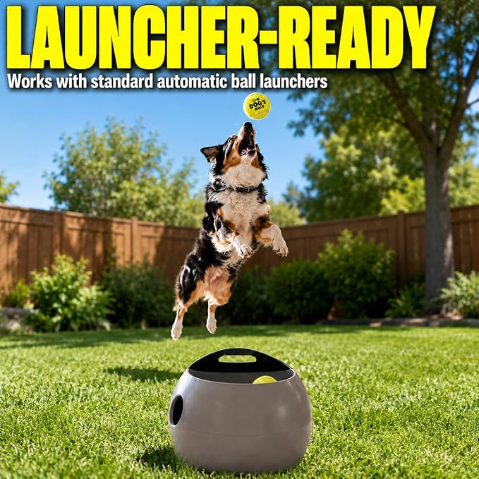 The Dog's Balls Dog Tennis Balls Tough 2.5" 12-Pack Yellow Floats in Water | Our fetch balls combine non-abrasive felt exterior and a thicker rubber core Durable Dog Toy for Outdoor Play & Training