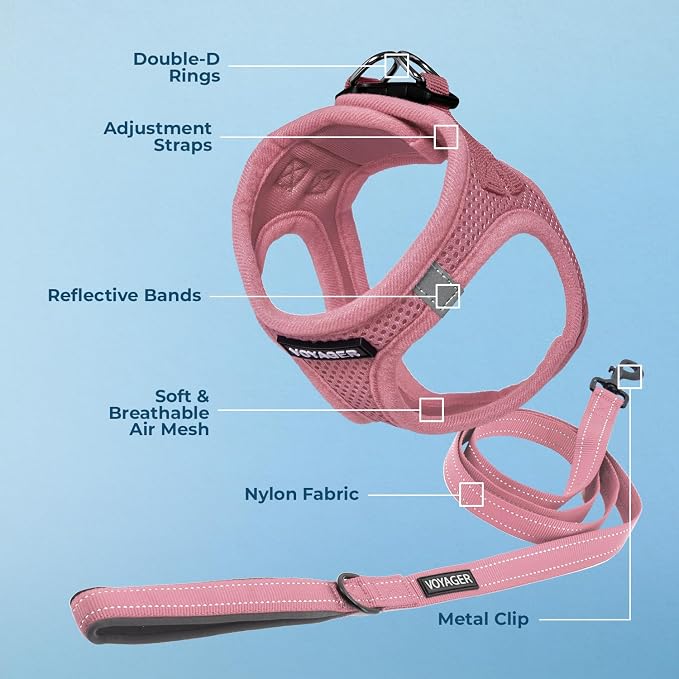 Best Pet Supplies Voyager Step-in Air All Weather Mesh Harness and Reflective Dog 5ft Leash Combo with Neoprene Handle, for Small, Medium and Large Breed Puppies - Pink, Large