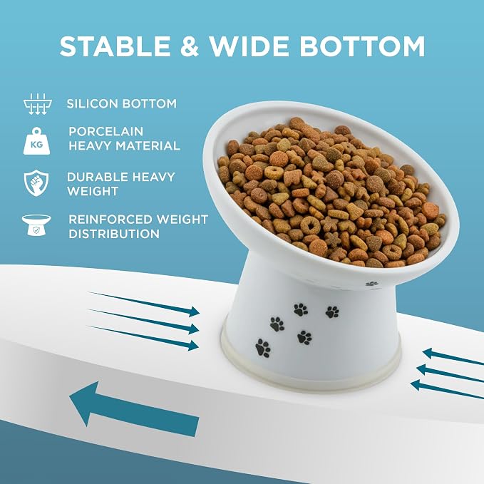 Necoichi Raised Cat Food Bowl – Ceramic Elevated 15° Tilted Cat Bowl for Whisker & Neck Fatigue, Dishwasher Microwave Safe – Non-Slip & Anti Vomiting Ergonomic Design (Cats, Regular Tilted)