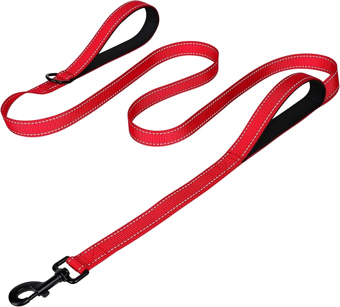 Joytale Dog Leash for Large Dogs that Pull, Double Handle, 4FT, Red | Traffic Handle for Control, Padded Handle Reduces Hand Strain, Reflective Stitching for Night Safety, Strong Nylon Webbing