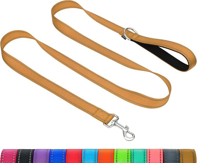 Taglory Reflective Dog Leash for Small Dogs, 3/4in x 4ft, Tan | Ideal for Night Walking, Strong for Sudden Pulls, Lightweight & Gentle on the Neck, Soft Padded Handle