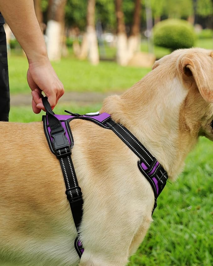 Joytale Dog Harness (Chest: 17-34"), Dog Collar and 6FT x 1" Wide Dog Leash Set, Reflective Padded Nylon Collar and Leash, Adjustable Soft Harness with Handle for Dogs