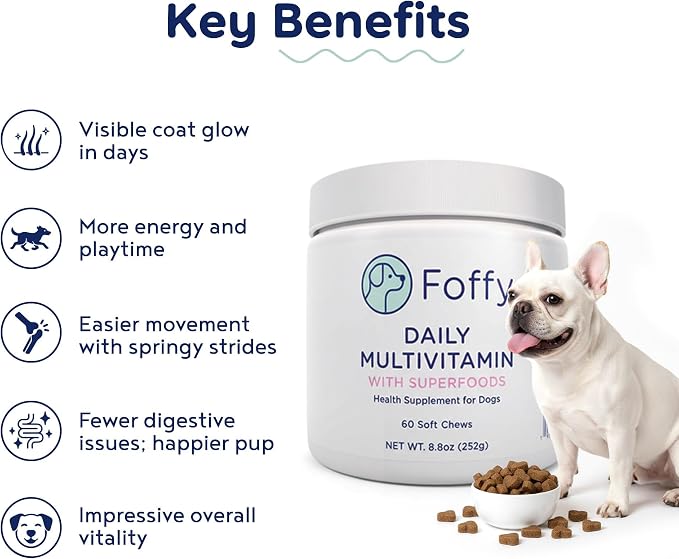 Foffy Daily Dog Multivitamin Soft Chews - Hip & Joint, Skin & Coat - 60 CT