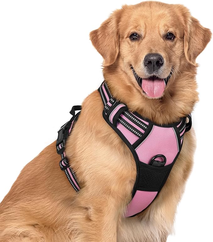 rabbitgoo Dog Harness No Pull with 2 Leash Clips, Adjustable Soft Padded, Reflective Oxford No Choke Pet Vest with Easy Control Handle for Large Dogs, Pink, XL | No Choke with Handle, Adjustable Soft Padded, Reflective, Easy Control for Walking, Pink, ...