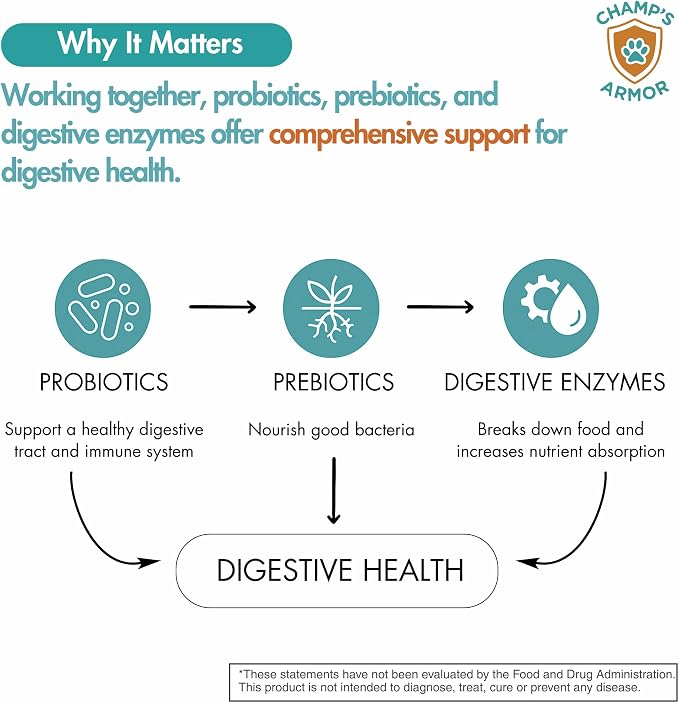 Probiotics for Dogs with Digestive Enzymes - 2.4 Billion CFU Dog Probiotic Supplements for Upset Stomach, Digestive Health, Diarrhea Relief - 60 Chicken Flavor Chews