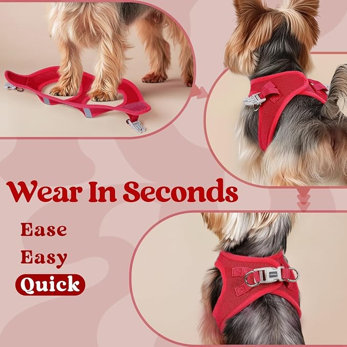 rabbitgoo Step-in Small Dog Harness, Puppy Vest for Small Medium Sized Pet | Easy Put on and off, Lightweight, Soft, Breathable Quick-Dry Air Mesh for Comfortable Secure Walking, Red L