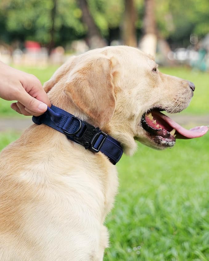 Joytale Tactical Dog Collar(17"-21") and Dog Leash Set, Shock Absorbing Bungee Dog Leash and Adjustable Strong Dog Collar with Handle for Large Dogs(Navyblue, L)