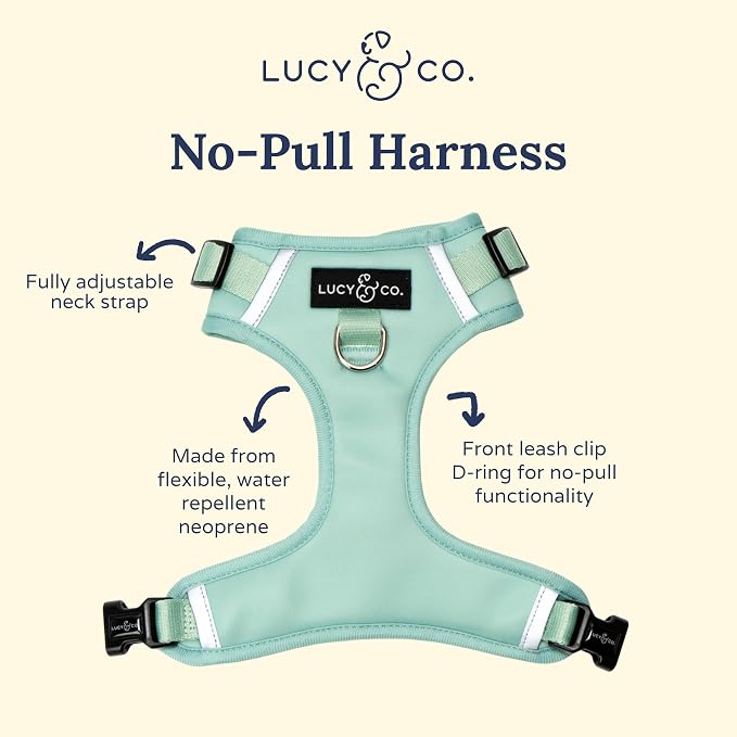 Lucy & Co. The Spring Green No-Pull Dog Harness - Size Small- Vest to Stop Pulling & Walk Easy - Comfortable Leash Training Product w/Adjustable Chest & Neck Straps