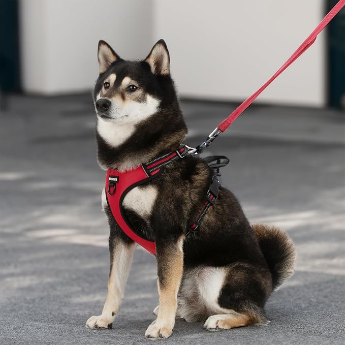 Voyager Dual Attachment No Pull Harness - Red, Large | 25-30" in Chest, No Pull Dog Harness, Fully Adjustable, 3M Reflective Technology, Front & Back D-Rings, Walking & Training