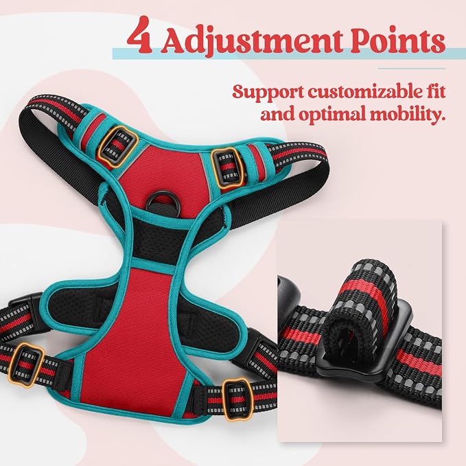 rabbitgoo Dog Harness, No Pull for Small Dogs with 2 Leash Clips, Pet Vest | No Choke with Handle, Adjustable Soft Padded, Reflective, Easy Control for Walking, Red & Teal, Small