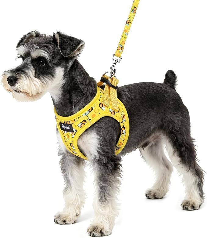 PUPTECK Dog Harness and Leash Set for Small Medium Dogs No Pull Step-in Soft Mesh Puppy Cat Vest Harnesses Reflective at Night, Yellow Bee, M