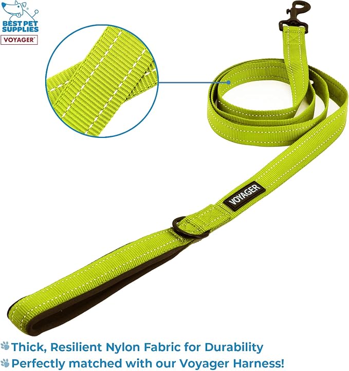Voyager Step-in Air All Weather Mesh Harness and Reflective Dog 5 ft Leash Combo with Neoprene Handle, for Small, Medium and Large Breed Puppies by Best Pet Supplies - Green, Medium