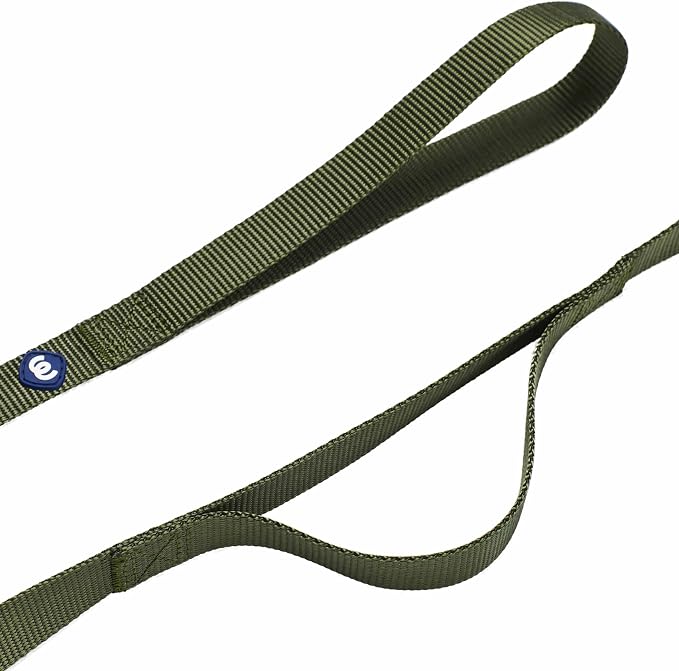 Blueberry Pet Essentials Double Handle Dog Leash for Traffic Control | 5ft. x 5/8" Small Dog Leash | Classic Dog Leash with Two Handles for Dogs That Pull | Nylon 2 Handle Dog Leash in Military Green