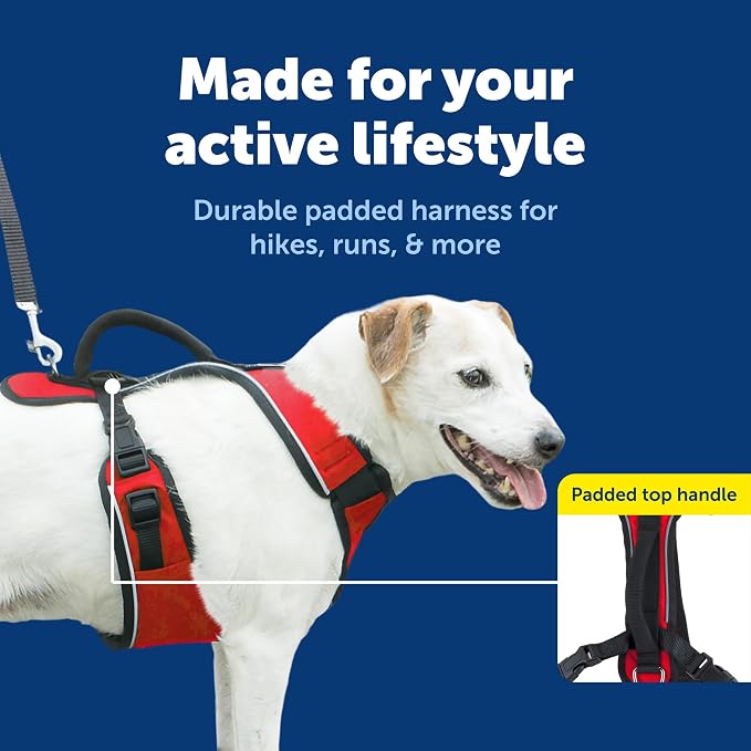PetSafe EasySport Dog Harness, Adjustable Padded Dog Harness with Control Handle and Reflective Piping, From the Makers of the Easy Walk Harness, Red | Padded, Elastic Neckline Harness for Active Dogs, Reflective Piping for Visibility, Top Control Hand...