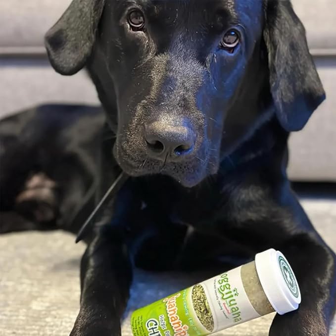 Doggijuana Juananip Refill Bottle for Dogs