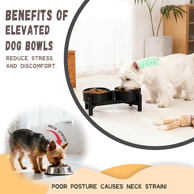 Raised Ceramic Dog Bowl Set - Elevated Double Dishes with Stainless Steel Stand - Food and Water Bowls for Small Dogs and Indoor Cats - Each Holds 1.6 Cups (10.8 fl oz) - White