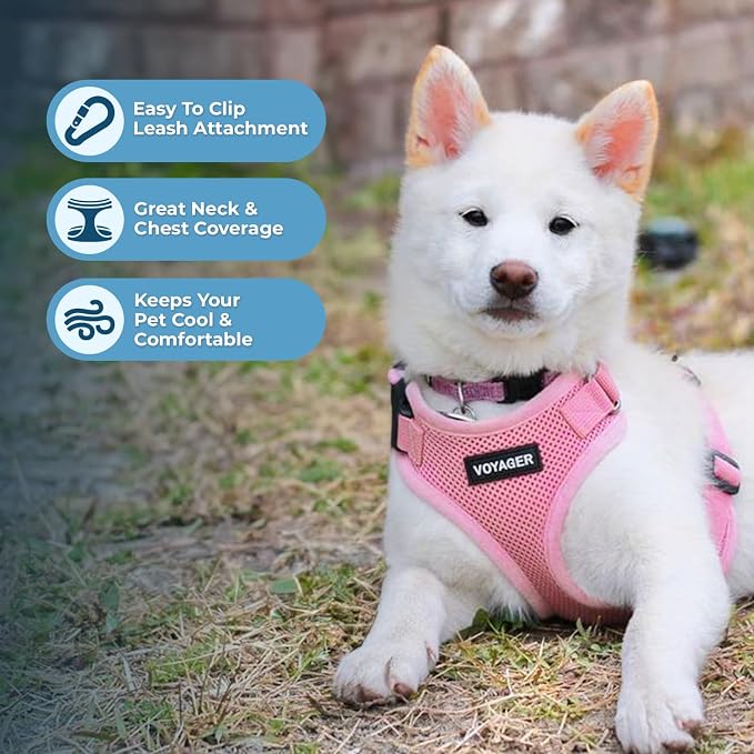 Best Pet Supplies Voyager Step-in Lock Pet Harness w Reflective Pet Leash Combo Set with Neoprene Handle 5ft - Supports Small, Medium and Large Breed Puppies/Cats - Pink, M