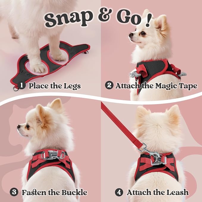 rabbitgoo Dog Harness Small Sized and Leash Set, Step in Soft Vest | Breathable Mesh, Easy Wear with Hook & Loop, Light and Reflective for Walking, Multi-colored, Black & Red, XS