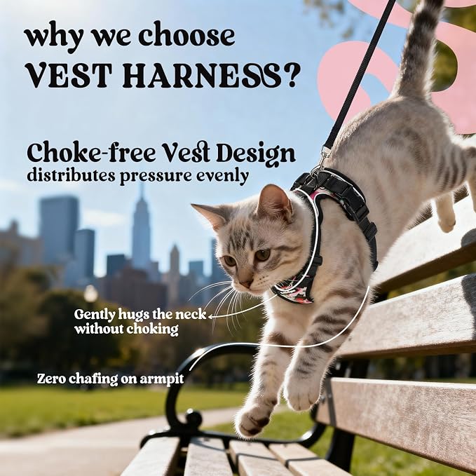 rabbitgoo Cat Harness and Leash Set, Escape Proof Vest, Berry Pounce | Soft Breathable Mesh, Easy Adjustable Fit, Snap Buckles, Sturdy Clip, Reflective Strips, for Kittens & Small Cats Walks, Xxs