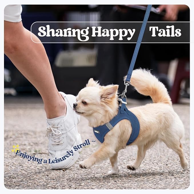 rabbitgoo Dog Harness Small Sized and Leash Set, Step-in Puppy Pet Vest | Light, Soft, Breathable Air Mesh, Easy on and Remove with Hook & Loop, Secure Reflective for Walking, Navy Blue XS