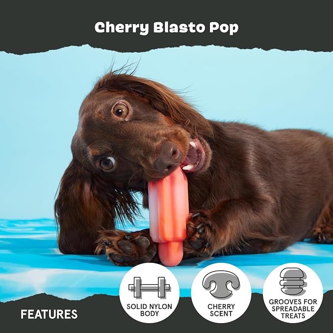 BarkBox Cherry Blasto Pop Dog Toy - for Small Dogs | Durable Nylon Popsicle Chew Toy for Aggressive Chewers | Dog Toys , Puppy Teething Toys & Summer Fun