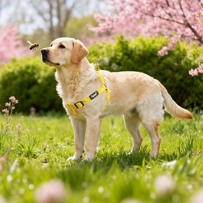 PUPTECK No Pull Dog Harness Large Sized Step-in Adjustable Puppy Vest | Soft Webbing Basic Halter with ID Tag for Outdoor Walking