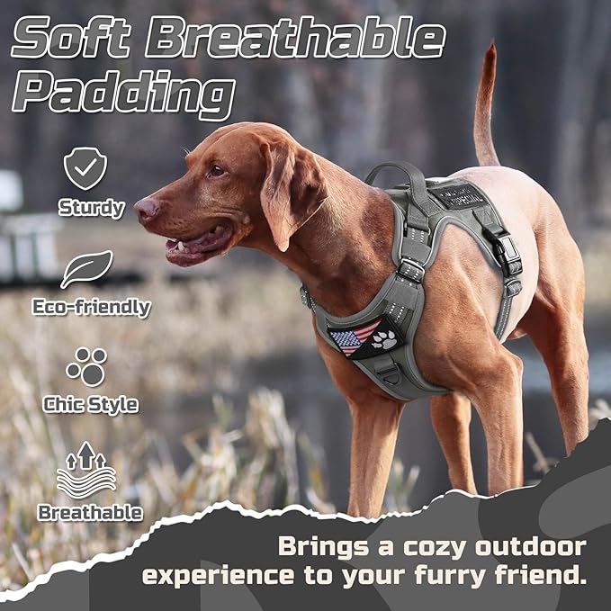 rabbitgoo Tactical Dog Harness for X-Large, No Pull Military Service Vest | Molle & Handle, Heavy Duty, Adjustable, Reflective Straps, Easy Control for Training Walking, Grey, X-Large