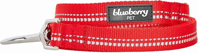 Blueberry Pet 3M Reflective Pastel Color Dog Leash with Soft & Comfortable Handle, 5 ft x 3/4", Red, Medium, Leashes for Dogs