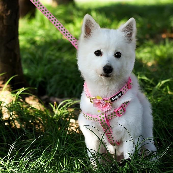 Blueberry Pet 4 Patterns Step-in Velvety Polka Dot Flocking Dog Harness in Baby Pink, Chest Girth 20" - 26", Medium, Adjustable Harnesses for Dogs